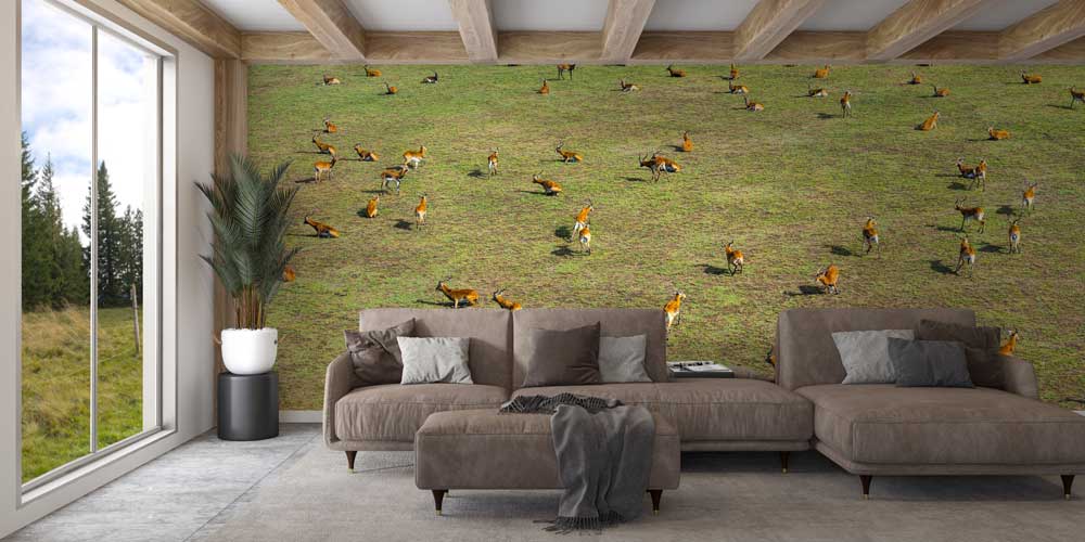 Afrika Antilop Sürüsü Panoramik Duvar Kağıdı 12800