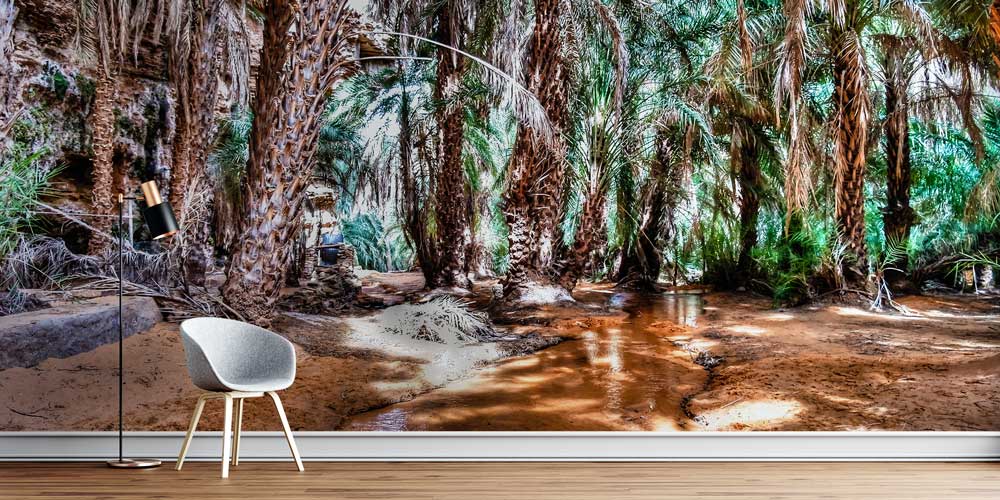 Tropik Vahşi Vadi Duvar Kağıdı 12803