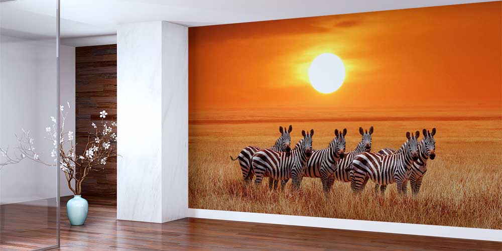 Zebra Sürüsü Gün Batımı Duvar Kağıdı 12810