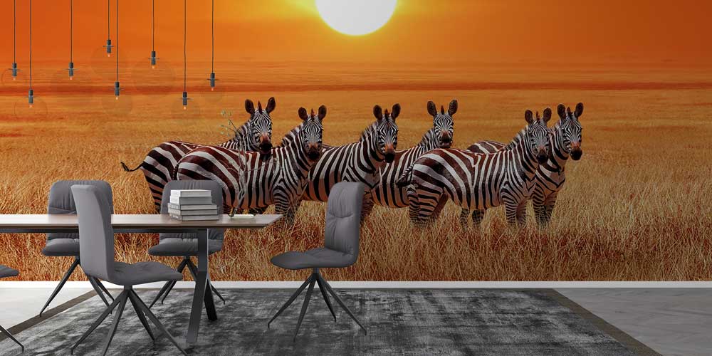 Zebra Sürüsü Gün Batımı Duvar Kağıdı 12810