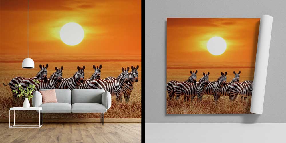 Zebra Sürüsü Gün Batımı Duvar Kağıdı 12810