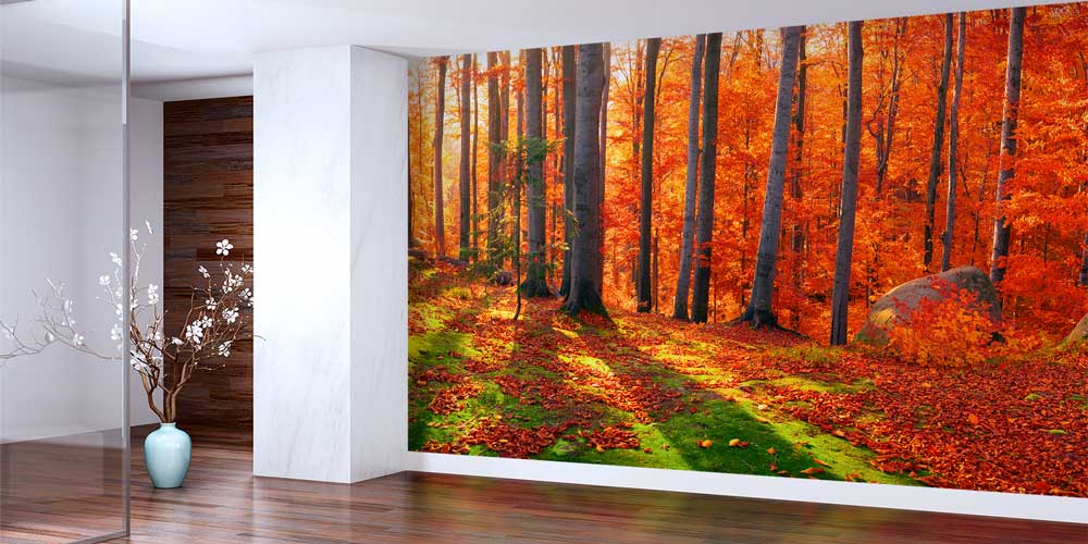 Sonbahar Ormanı Duvar Kağıdı 12942