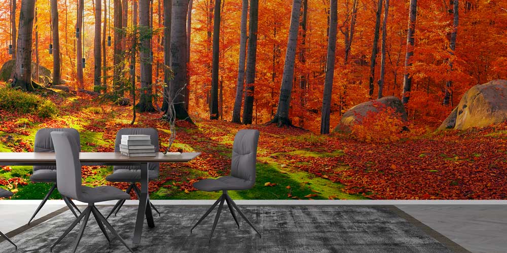 Sonbahar Ormanı Duvar Kağıdı 12942