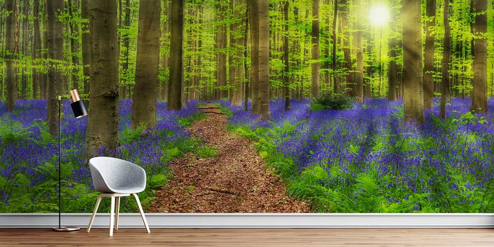 Orman Patikası Duvar Kağıdı 12970