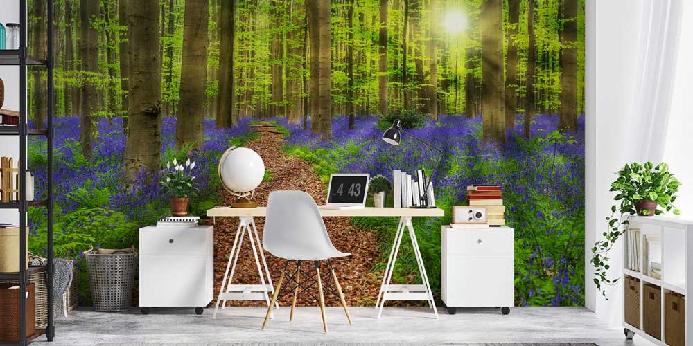 Orman Patikası Duvar Kağıdı 12970