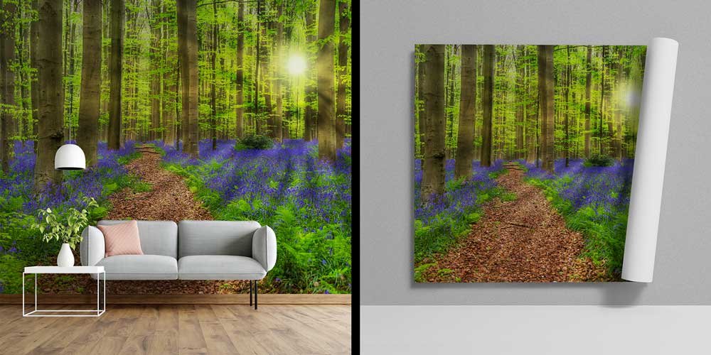 Orman Patikası Duvar Kağıdı 12970