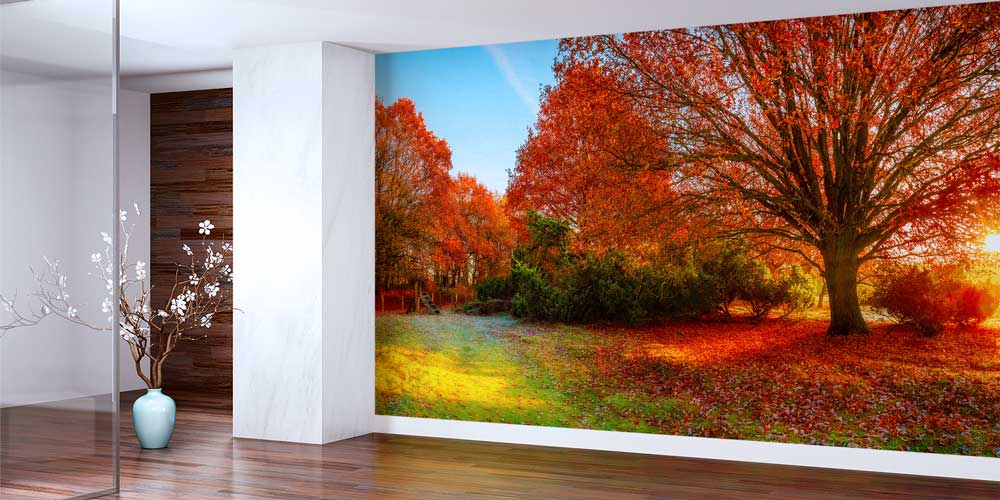 wallpaper-wall-design-12971-01 Sonbahar Ağacı Duvar Kağıdı 12971