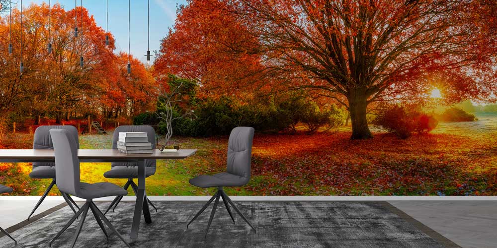 wallpaper-wall-design-12971-02 Sonbahar Ağacı Duvar Kağıdı 12971