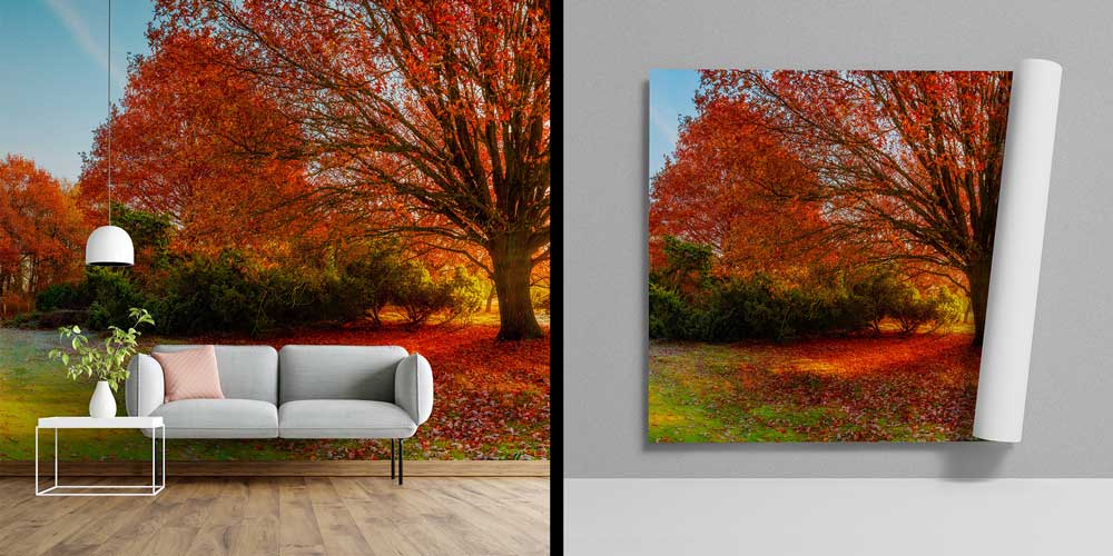 wallpaper-wall-design-12971-03 Sonbahar Ağacı Duvar Kağıdı 12971