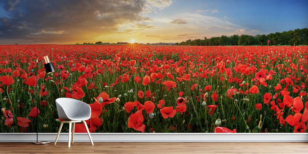 Kırmızı Gelincik Tarlası Gün Batımı Duvar Kağıdı 13004