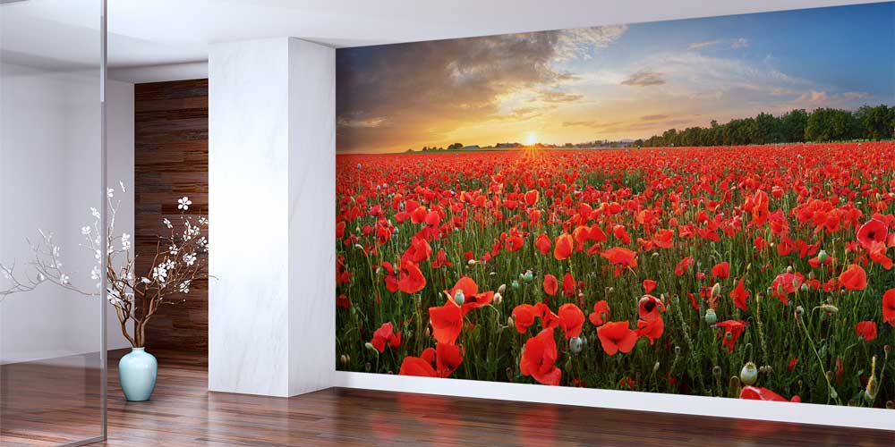 Kırmızı Gelincik Tarlası Gün Batımı Duvar Kağıdı 13004