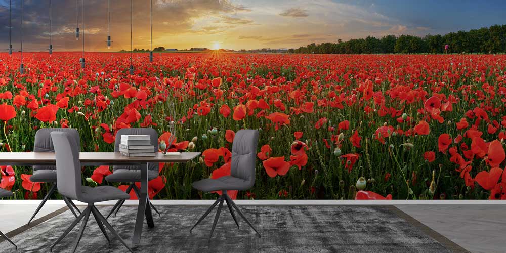 Kırmızı Gelincik Tarlası Gün Batımı Duvar Kağıdı 13004