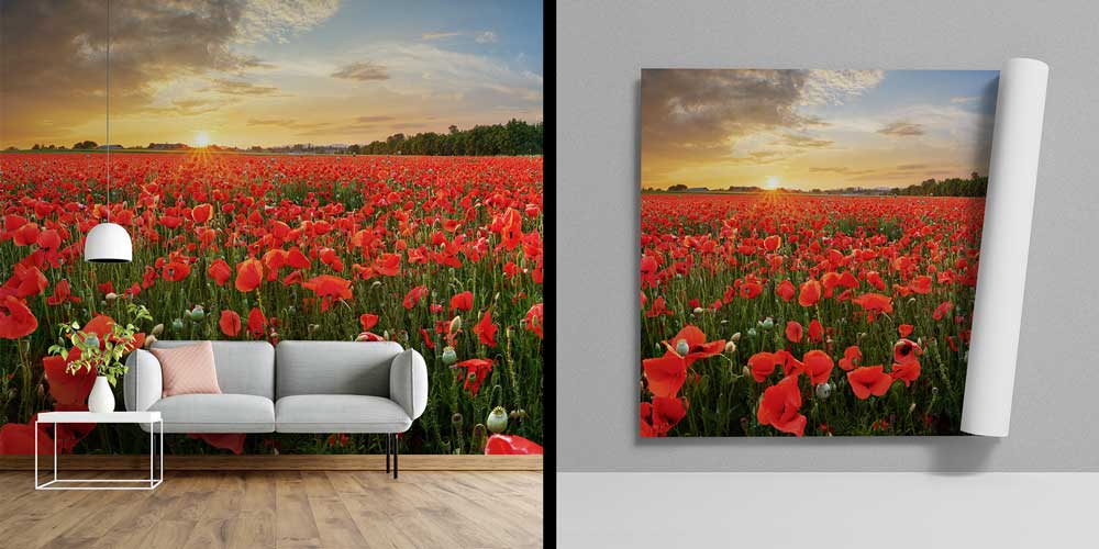 Kırmızı Gelincik Tarlası Gün Batımı Duvar Kağıdı 13004