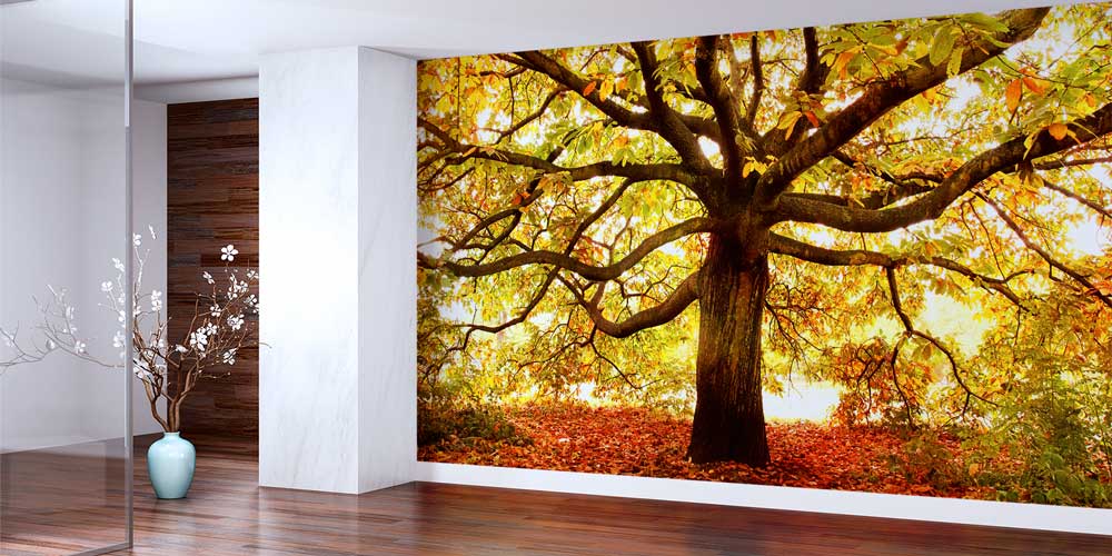 Sonbahar Ağacı Manzaralı Doğa Duvar Kağıdı 13007