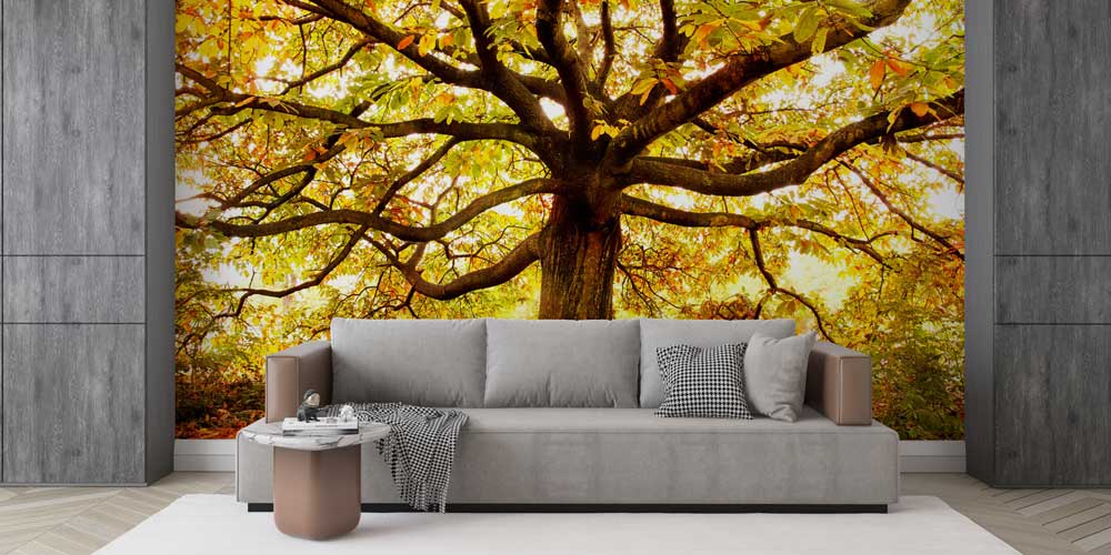 Sonbahar Ağacı Manzaralı Doğa Duvar Kağıdı 13007