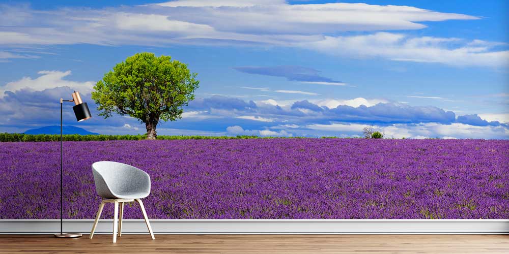 wallpaper-wall-design-13009-00 Lavanta Tarlası Manzaralı Doğa Duvar Kağıdı 13009