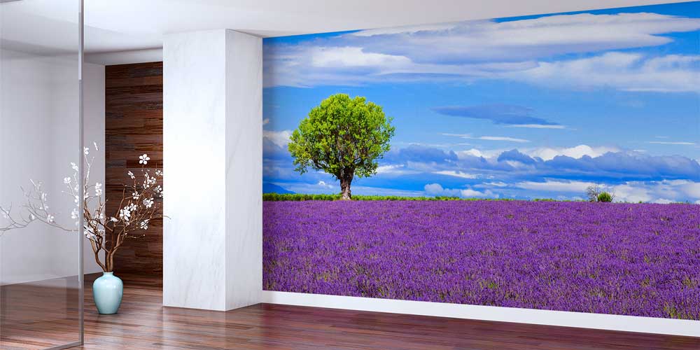 Lavanta Tarlası Manzaralı Doğa Duvar Kağıdı 13009