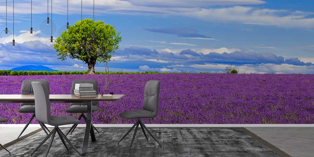 Lavanta Tarlası Manzaralı Doğa Duvar Kağıdı 13009