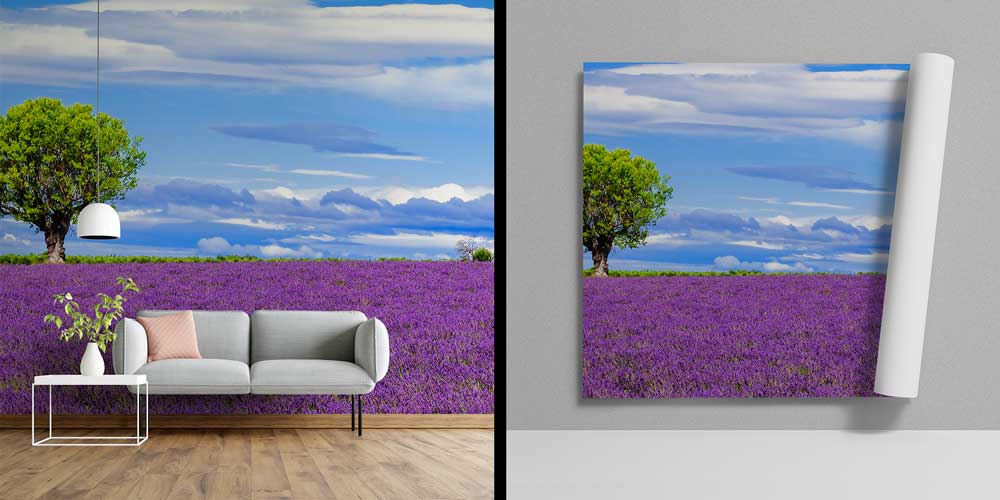 Lavanta Tarlası Manzaralı Doğa Duvar Kağıdı 13009