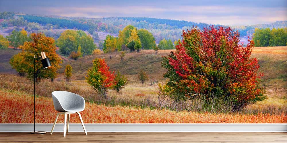 wallpaper-wall-design-13129-00 Sonbahar Doğa Manzarası Renkli Ağaçlar Duvar Kağıdı 13129