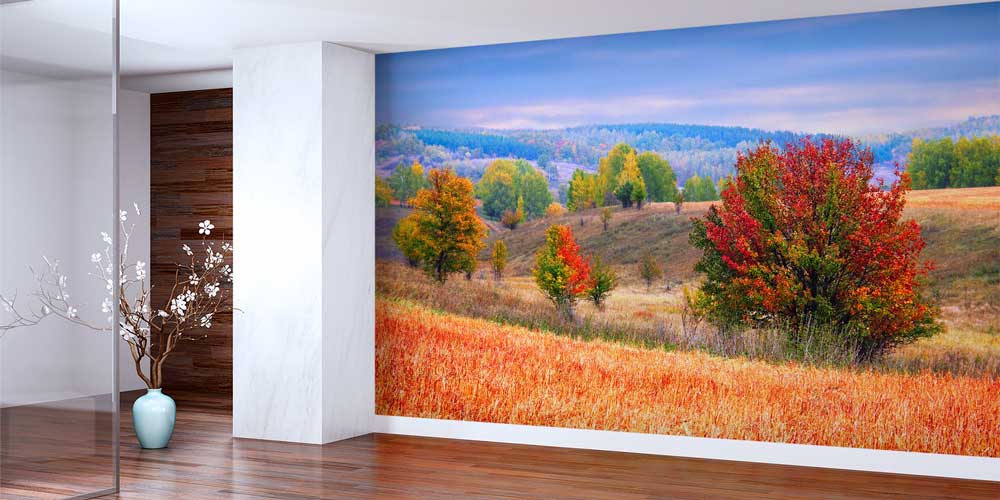 Sonbahar Doğa Manzarası Renkli Ağaçlar Duvar Kağıdı 13129