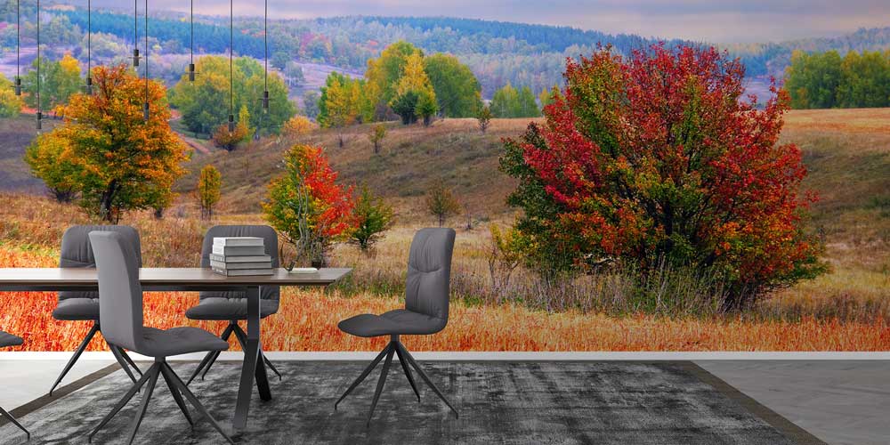 Sonbahar Doğa Manzarası Renkli Ağaçlar Duvar Kağıdı 13129