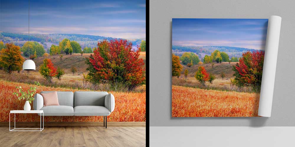 Sonbahar Doğa Manzarası Renkli Ağaçlar Duvar Kağıdı 13129