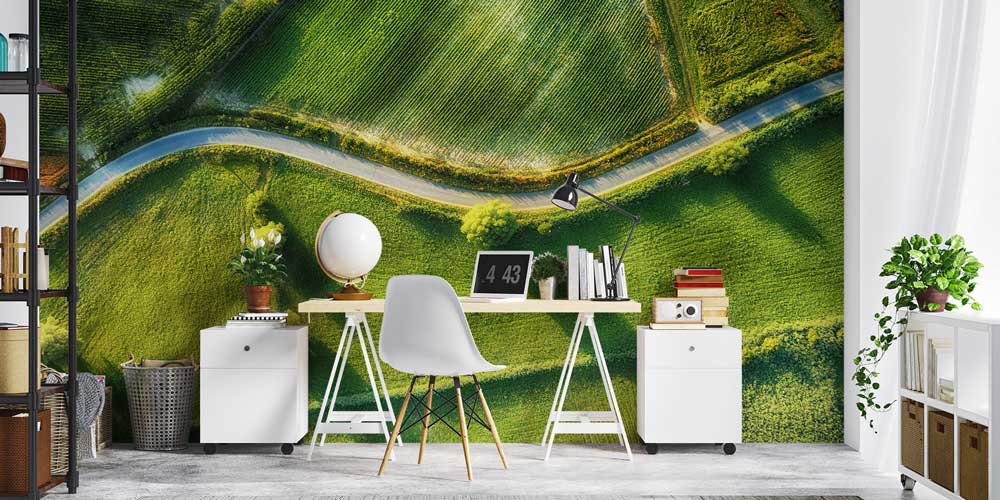 Havadan Yeşil Tarlalar ve Kıvrımlı Yol Manzaralı Duvar Kağıdı 13079