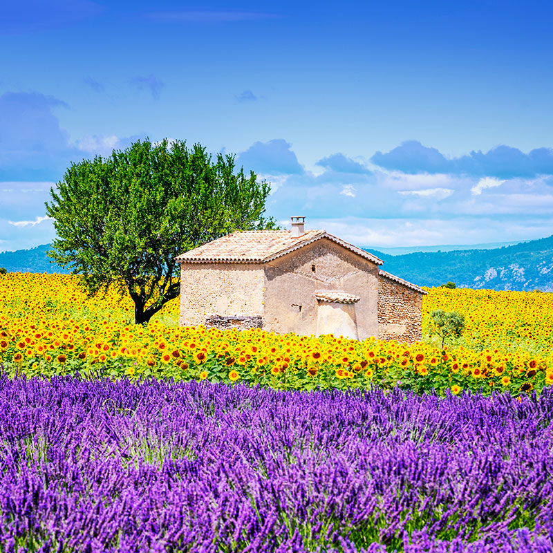 02-avrupa-duvar-sanati-05