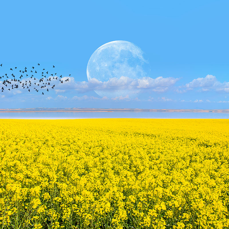 05-avrupa-duvar-sanati-02