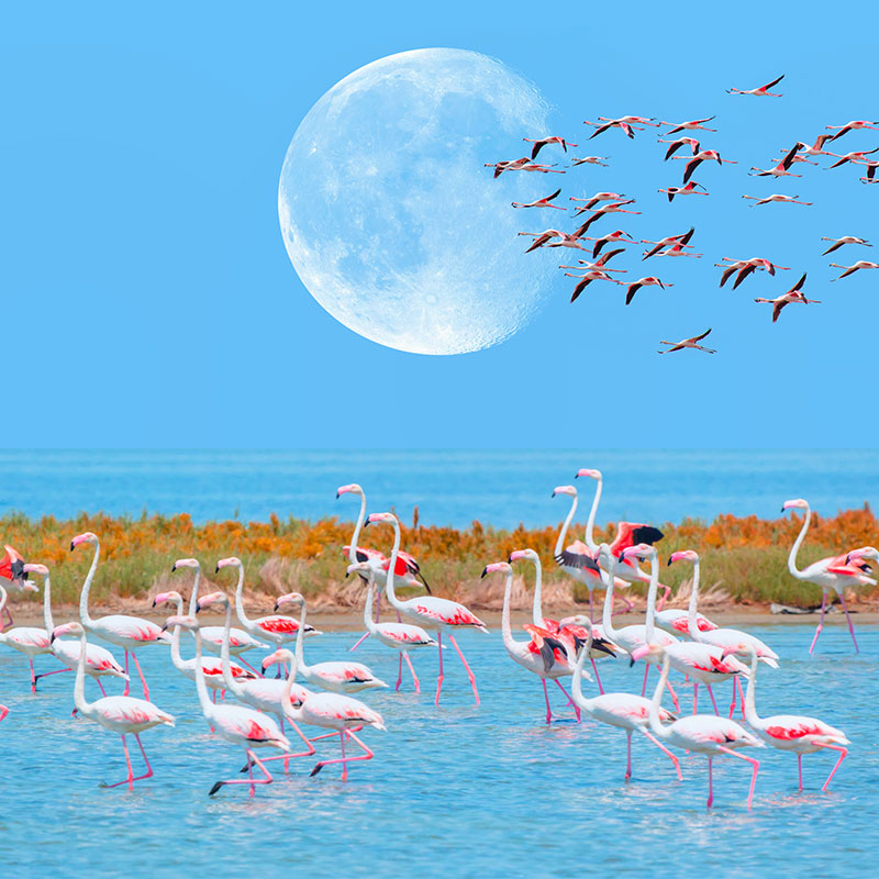 12-fotograf-duvar-sanati-02