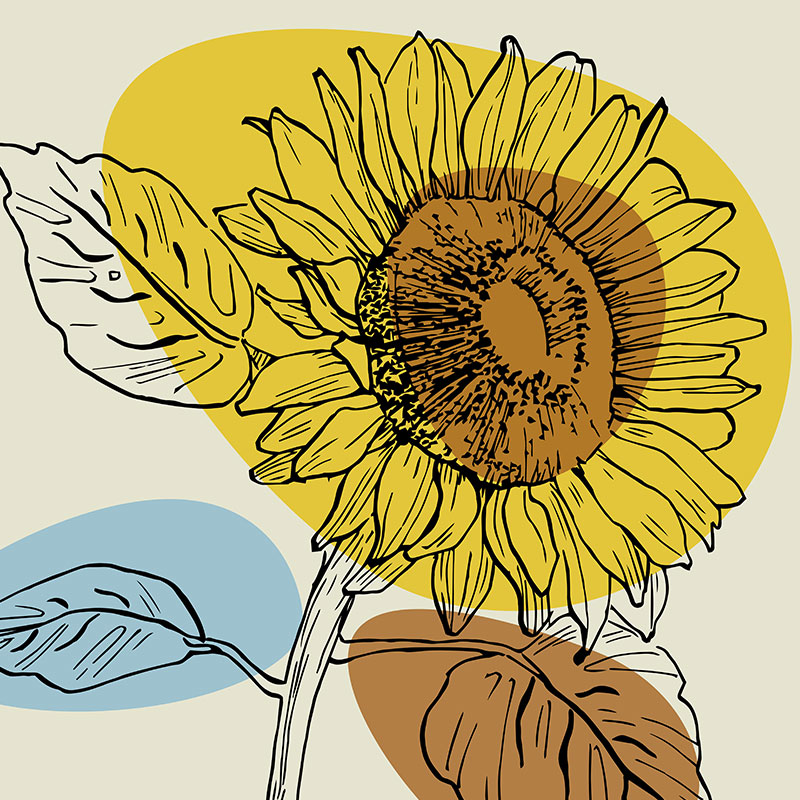 19-minimal-duvar-dekoru-01